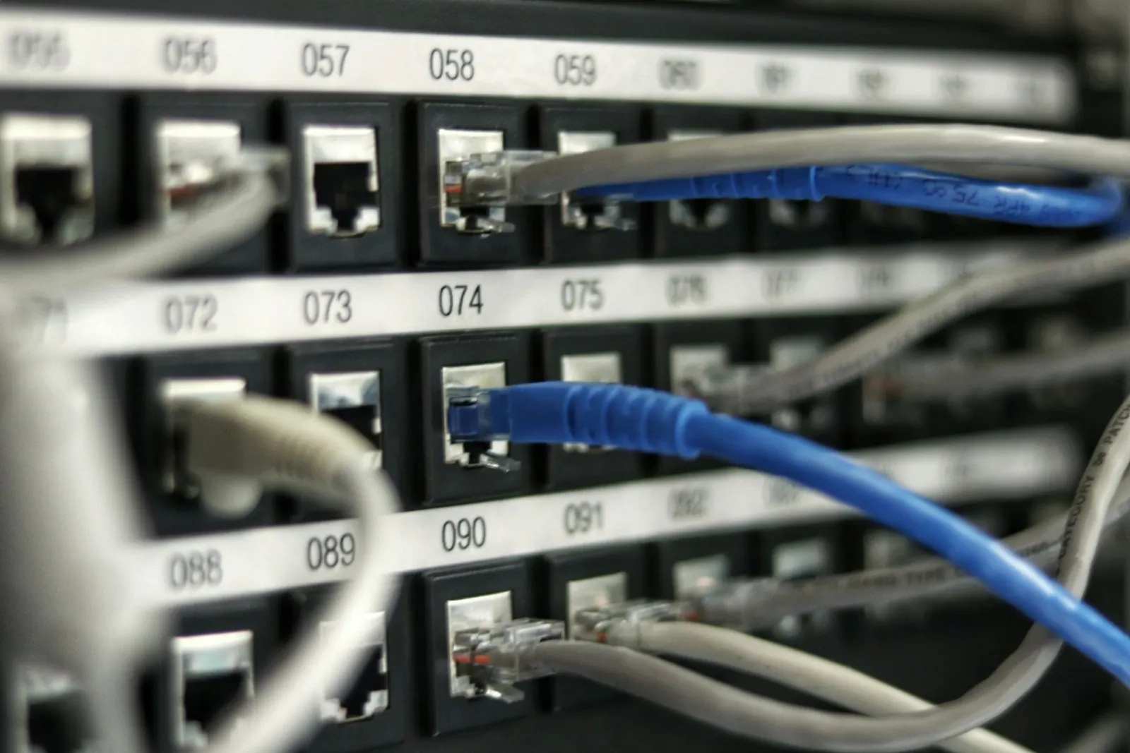 Blue network cables in a patch panel